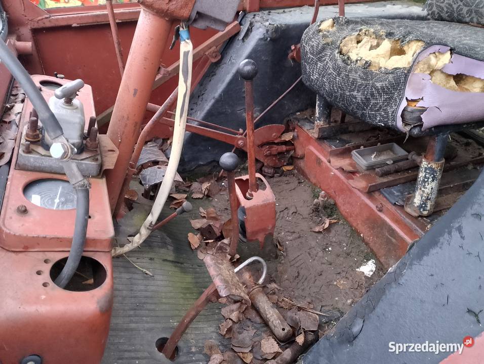 Wladimirec t25 Ślesin