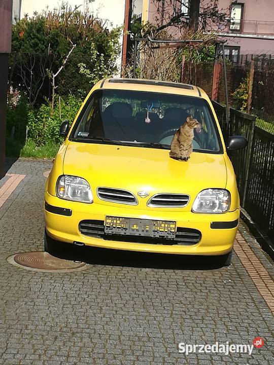 Nożyce do żywopłotu Black Decker