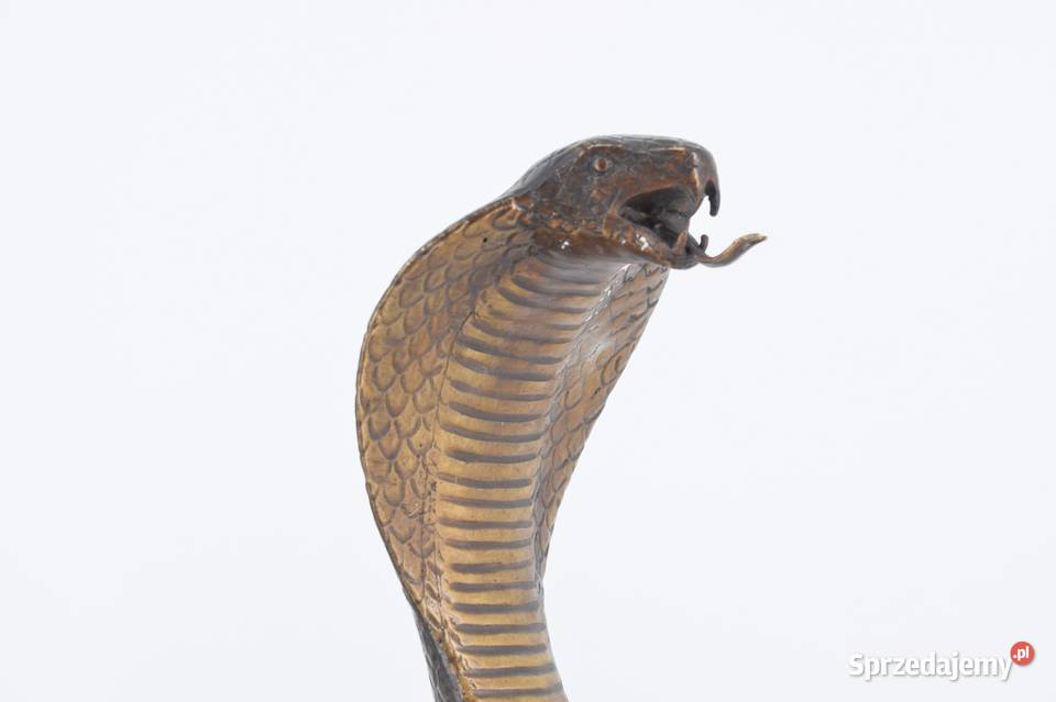 Groźna Kobra Wąż Grzechotnik Cobra Figura Rzeźba małopolskie