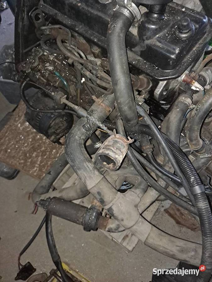 Silnik vw t4 19td Świerkówki