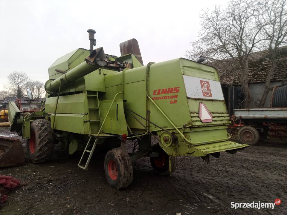 Claas Mercator 60 kombajn do zboża bizon Massey Bytom Odrzański