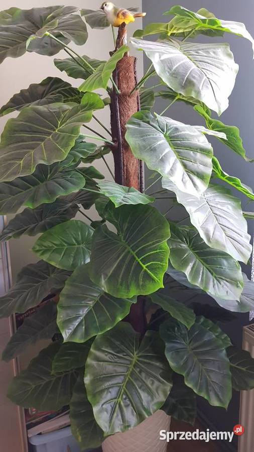 Sztuczny Filodendron Monstera Chorzów sprzedam