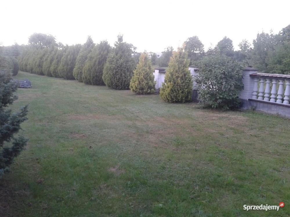 dom czesciowo wykonczony w ciechanowcu 1529zł/m2 Ciechanowiec