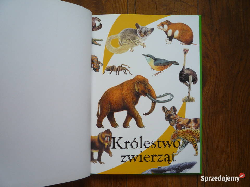 NOWA Książka Królestwo zwierząt Skarbnica wiedzy zachodniopomorskie