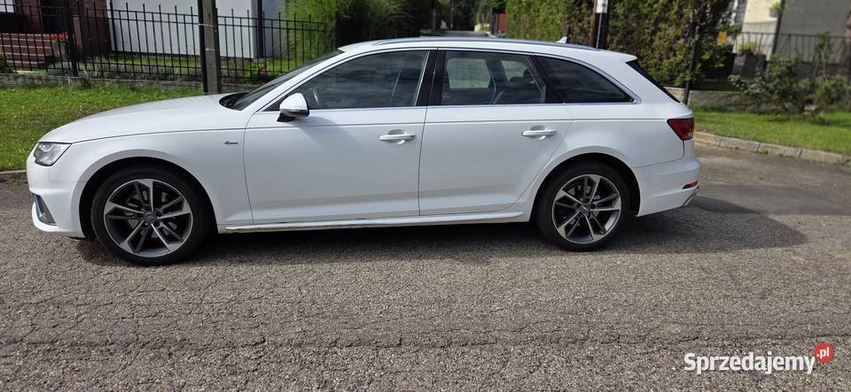 Audi A4 2019 krajowy
