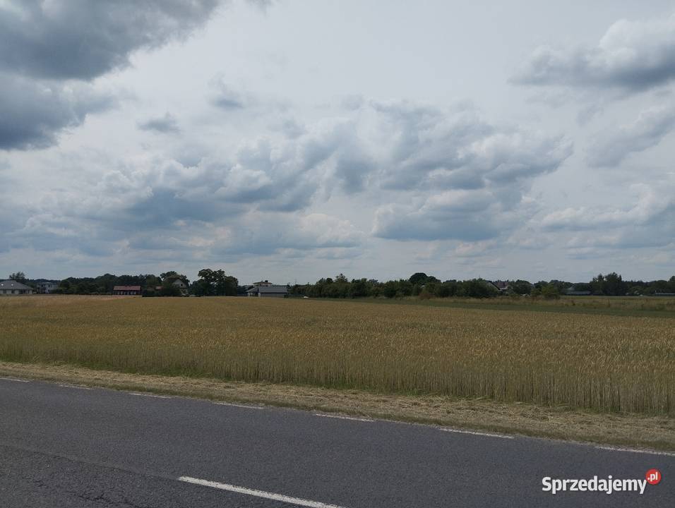 Działka rolno budowlana PIOTRKÓW TRYBUNALSKI Piotrków Trybunalski sprzedam