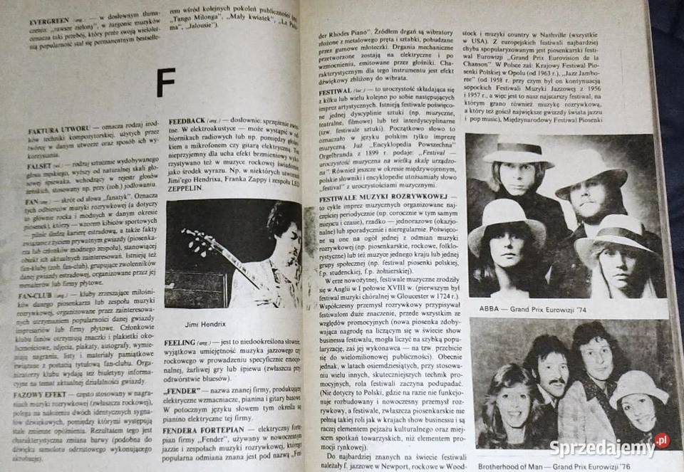Mały słownik muzyki rozrywkowej Wacław Panek Rok wydania 1986 lubelskie Chełm sprzedam