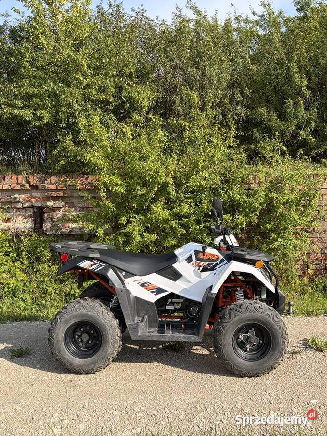 Kayk au300 t3b efi 2025 24 Cvt zadbany quad - ATV Kowalewo Pomorskie