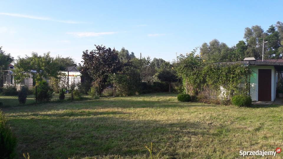 Działka rekreacyjna ROD Pogodny Szczecin