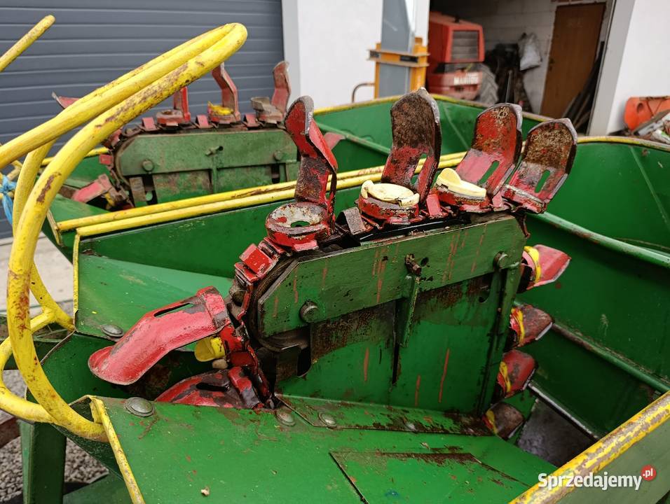 Sadzarka cramer mazowieckie Rawica Stara