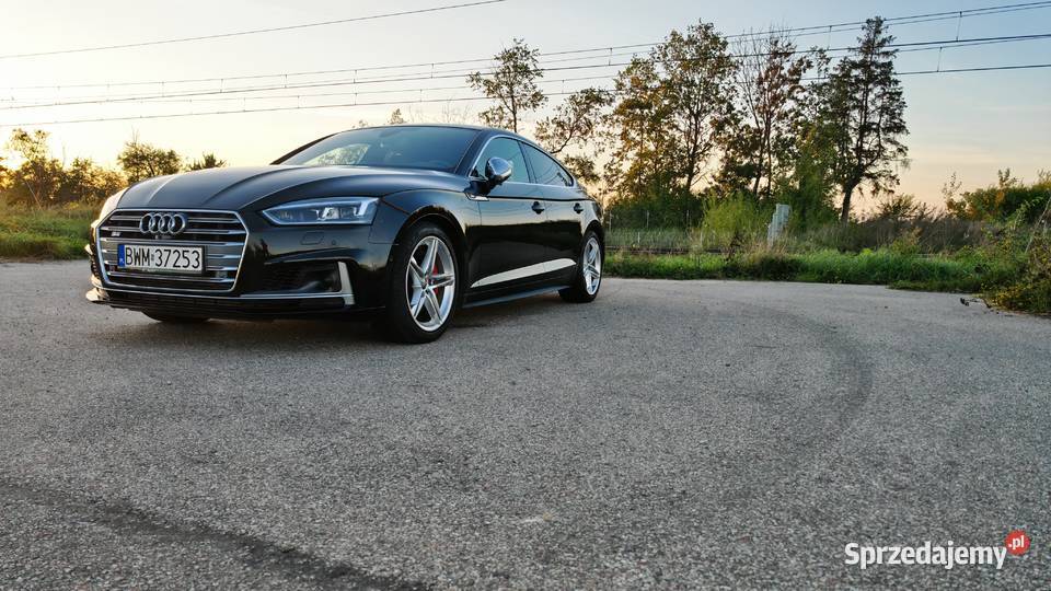 2019 Audi S5 Prestige bluetooth Czyżew