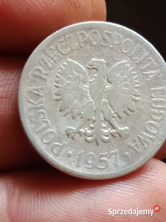 Sprzedam monete 50 groszy 1957 mala skretka Chełm sprzedam