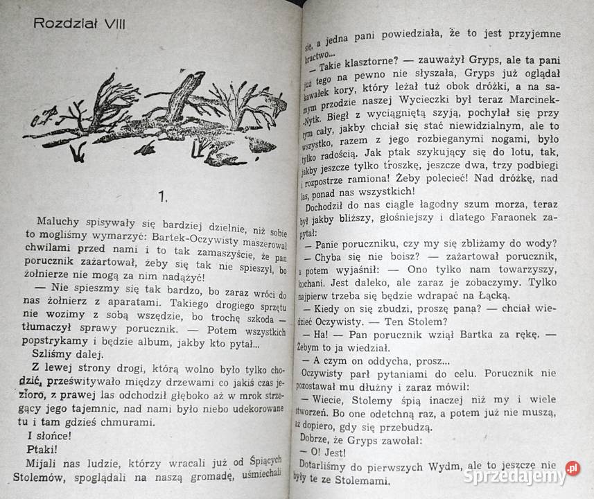 Cień słońca Jan Piepka Książki i Podręczniki Chełm