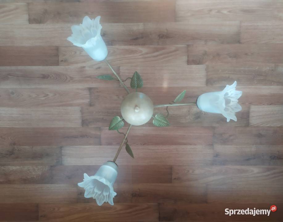 Żyrandol lampa wisząca ze szklanymi kloszami Szczecinek