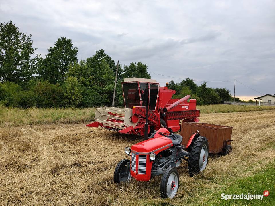 Ferguson tea20 z 1956r Gniewce