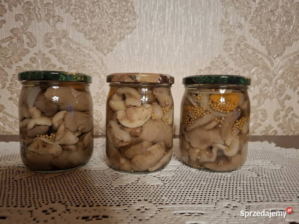 Koźlarzekozaki maślaki zajączki marynowane w Czyżowice