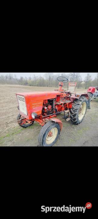 Rusek władymirec t25 sprzedam
