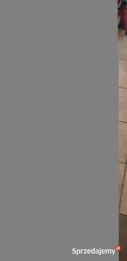 Przecinarka plazmowa PARKSIDE Performance Sosnowiec