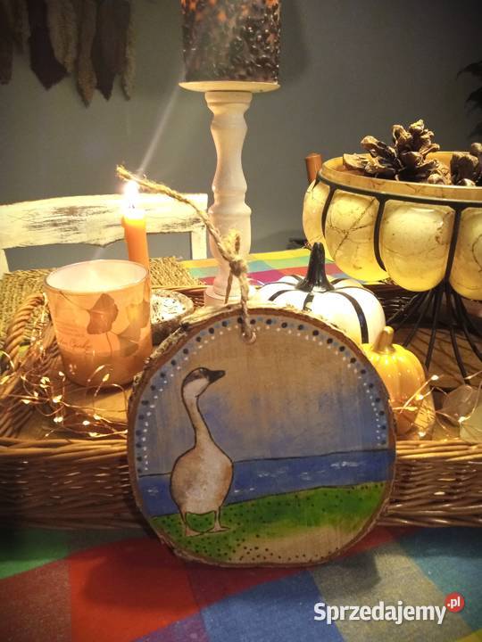 Obrazki na plastrach brzozowych wielkopolskie Plewiska