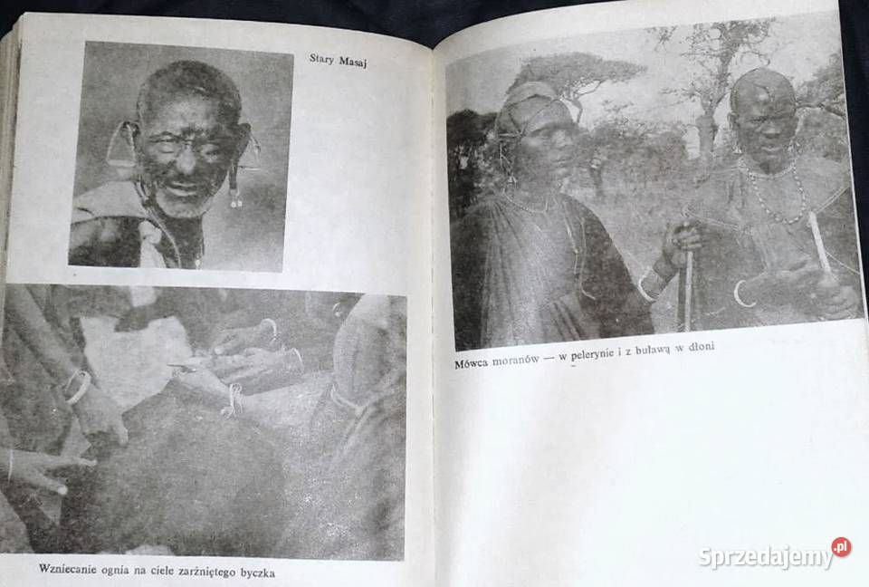 Safarihatari Ada Wińcza Rok wydania 1982 Chełm