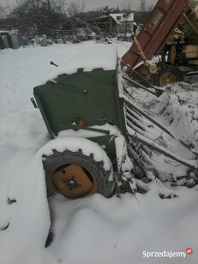 Siewnik zbozowy Amazone Biecz