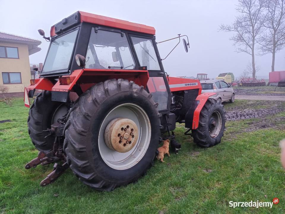 Ciągnik Rolniczy Ursus 1614 Ursus Wąbrzeźno