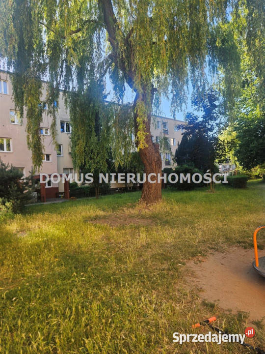 Sprzedam mieszkanie 345m 2pokojowe Warszawa