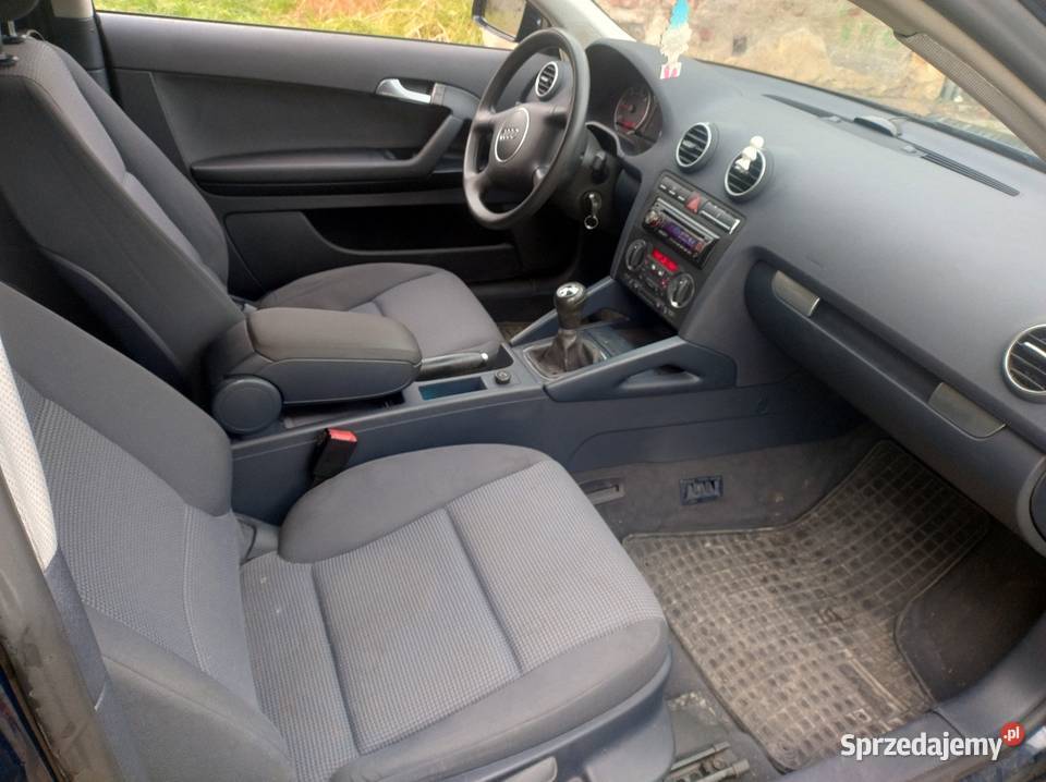 Audi A3 8p 20 TDI 20034r Klima 3 Lata w 1 Wł manualna Elbląg
