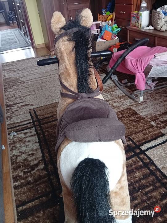 Konik na biegunach Pozostałe