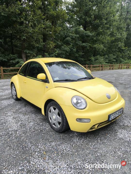 VW Beetle Bełchów