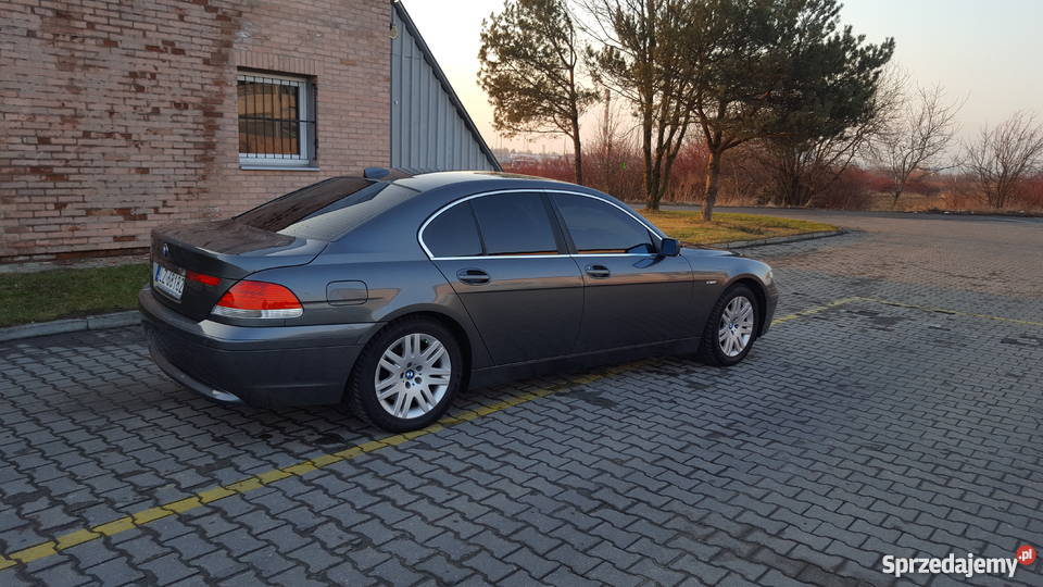 E65 Zarejstrowany Anglik Zamość