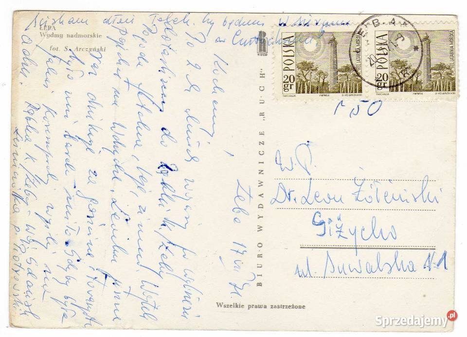 ŁEBA WYDMY NADMORSKIE Krynki