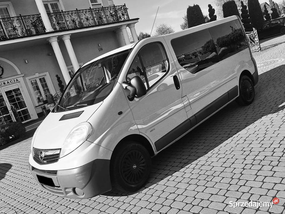 Transport osób z kierowcą do dyspozycji dwa busy