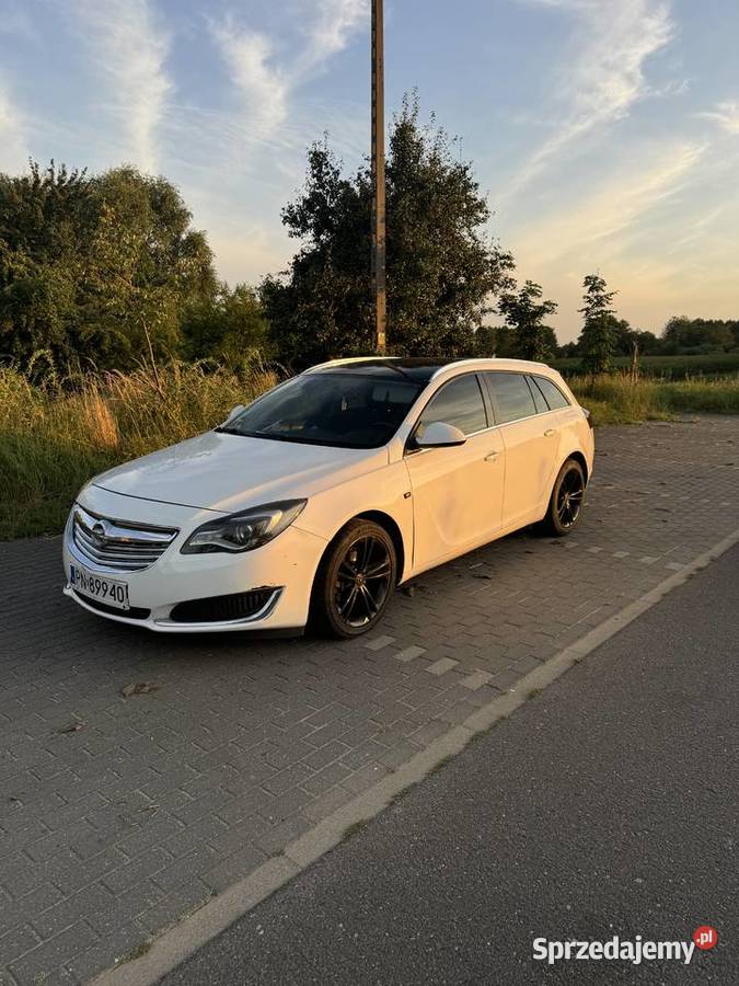 Opel Insignia Izbica Kujawska