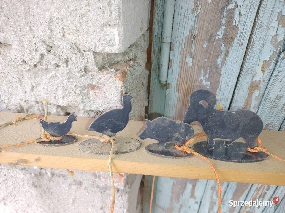 Wiatrówki zestaw Hatsan Beeman Ruger HDR 50 cele Sporty strzeleckie i myślistwo Kańczuga