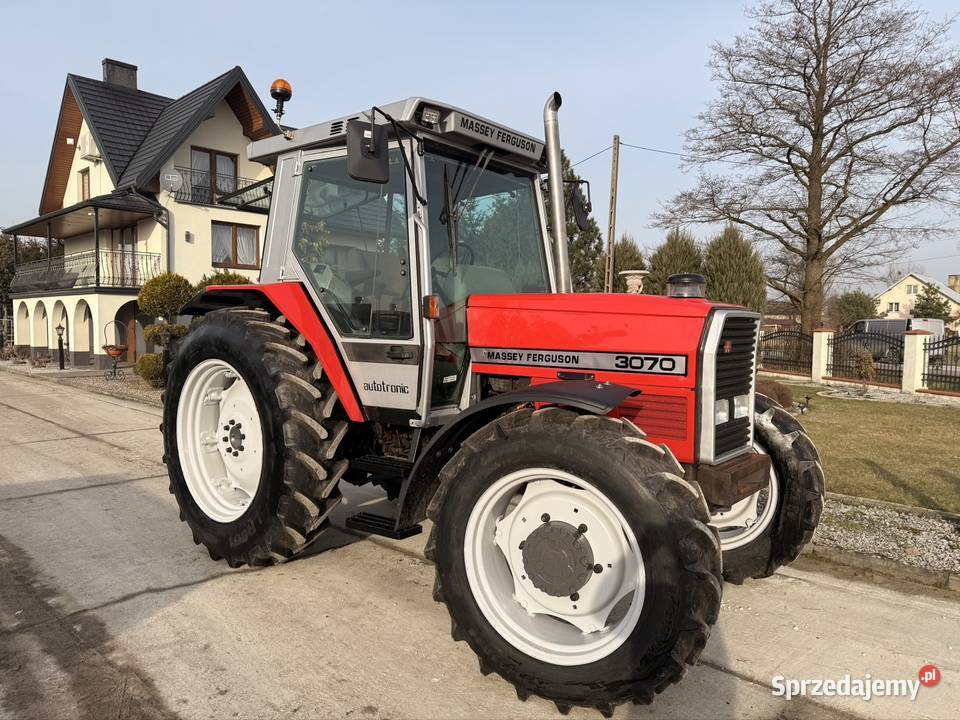 Massey Ferguson 3070 Łowicz