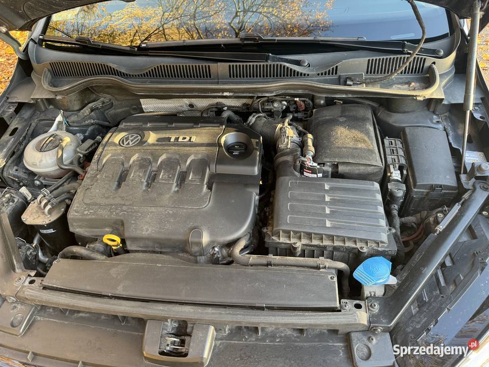 Golf Sportsvan 2015 16 Tdi niski przebieg drugi wielkopolskie Śrem