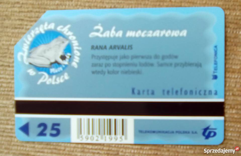 ŻABA MOCZAROWA RANA ARVALIS lubelskie Piszczac