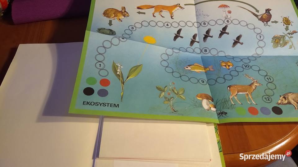 Gry dydaktyczne w nauczaniu biologii w szkole biologia