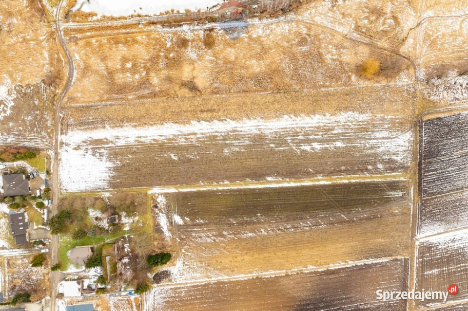 DZIAŁKA ROLNA ZAGRODOWA PIETRZEJOWICE
