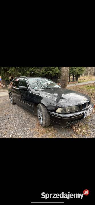 BMW e39 530i cała na części Rok produkcji 2002 dolnośląskie Stary Zawidów