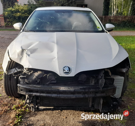 Skoda Octavia 20 2019 uszkodzona Pozostałe