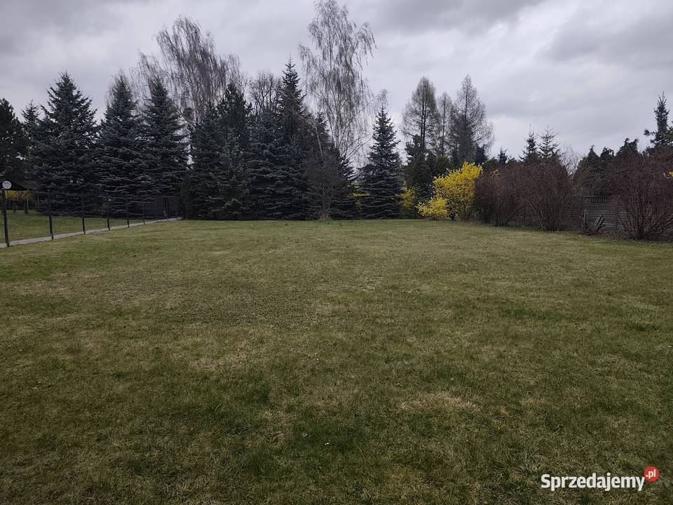 Działka 962 m Wojkowice ogrodzona równa lasu i śląskie