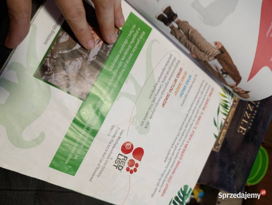 Nela przedstawia zagrożone gatunki zwierząt wielkopolskie Poznań sprzedam