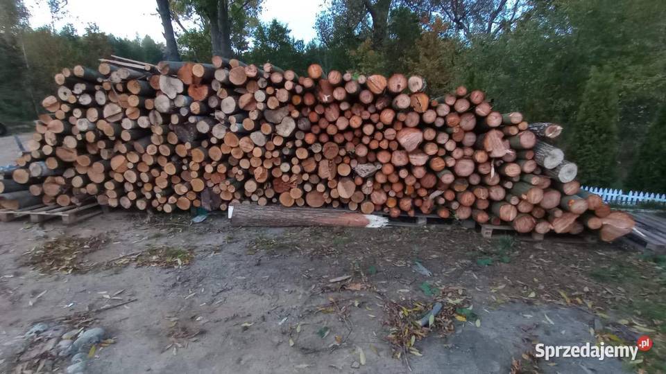 Drewno opalowe sprzedam