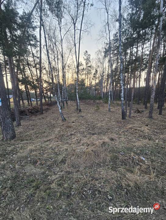 Działka budowlana w lesie 2631m 2MRU Dokudów II budowlana lubelskie Dokudów Drugi