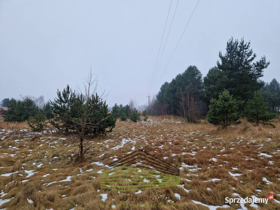 Działka budowlana w Łośnie lubuskie Łośno