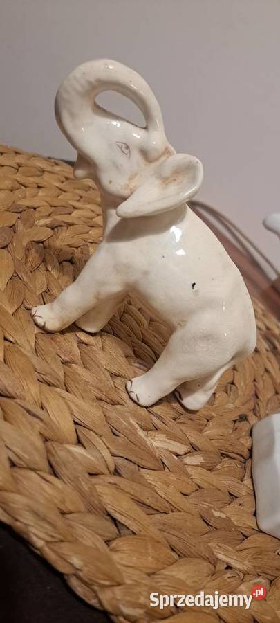 Sloń 1920r Warszawa