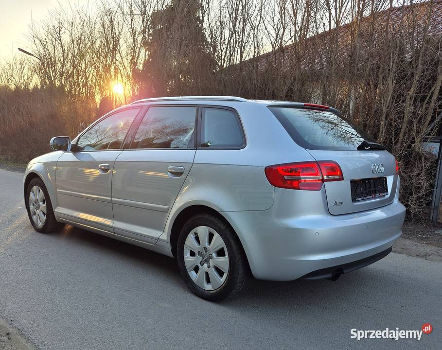 Audi A3 8P 16 Automat 16 benz Bezwypadkowa podgrzewane fotele Stargard