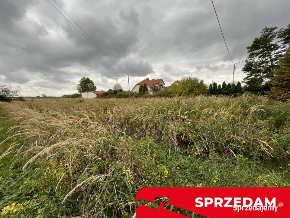 Działka z wykonanym podziałem w Końskowoli asfalt Końskowola sprzedam